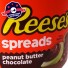 Pâte à tartiner beurre de cacahuètes et chocolat - Reese's Spread