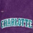 Casquette - Charlotte Hornets - NBA All Directions - Mitchell & Ness