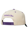 Casquette - Toronto Raptors - Retro Type - Mitchell & Ness