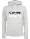 Hoodie - Florida Gators - NCAA - Gris