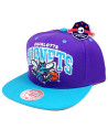 Snapback - Hornets - Mitchell & Ness