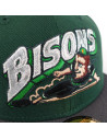 Casquette 59Fifty - Buffalo Bisons - Drop MiLB - Verte et Grise