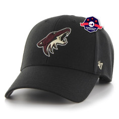 Casquette - Arizona Coyotes - '47