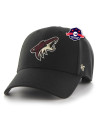 Casquette - Arizona Coyotes - '47