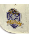 Casquette 9Twenty - New Era - Baltimore Ravens - 20 seasons - Chrome