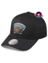 Vancouver Grizzlies - Snapback