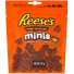 Reese's - Mini Peanut Butter Cups - 120g