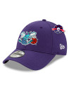 Casquette des Charlotte Hornets - Hard Wood