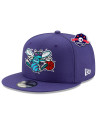 Casquette 9Fifty - Charlotte Hornets - Hard Wood