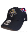 Casquette Florida Panthers