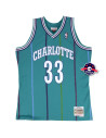 Maillot NBA - Alonzo Mourning - Charlotte Hornets