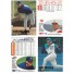 Pack Fleer - Baseball '96 Update - Trading Cards