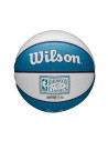 Mini Ballon NBA - Charlotte Hornets