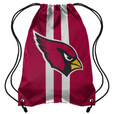 Sac NFL - Arizona Cardinals - Foco