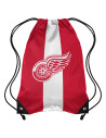 Sac NHL - Detroit Red Wings - Foco