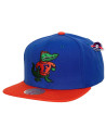 Casquette Snapback - Florida - Mitchell & Ness - Two Tone