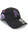 Casquette '47 - Arizona Coyotes - MVP Sure Shot - Black